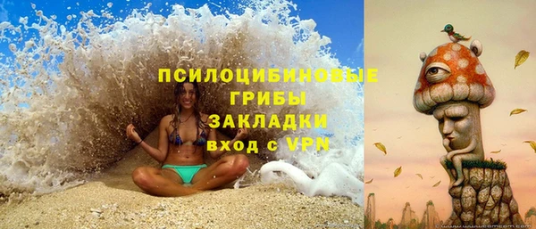 mix Богородск