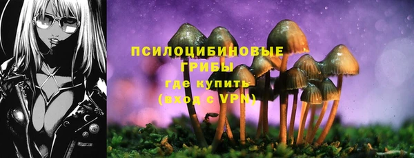 бутират Богородицк
